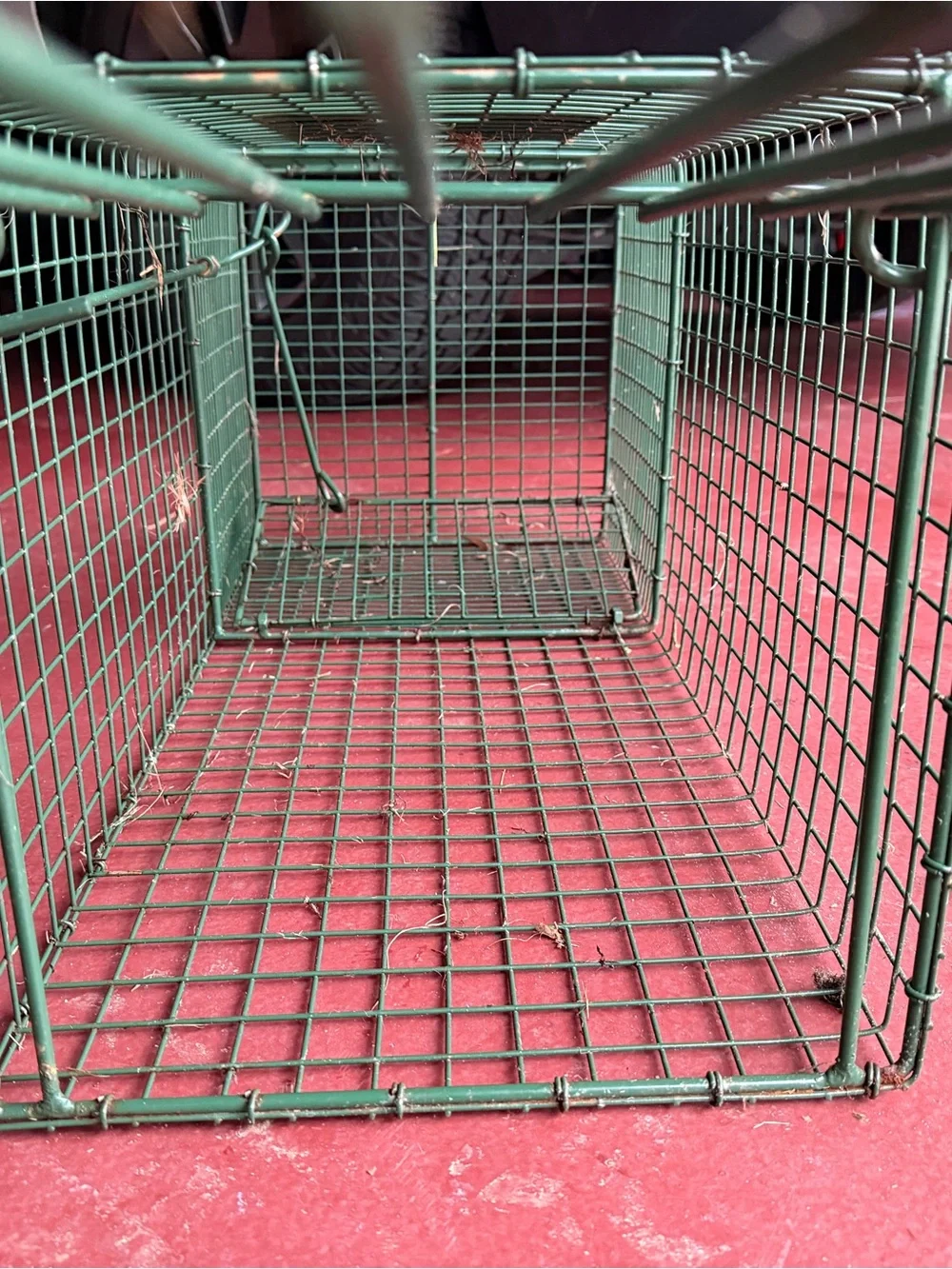 Duke Traps HD Large Cage Trap with Top Carry Handle